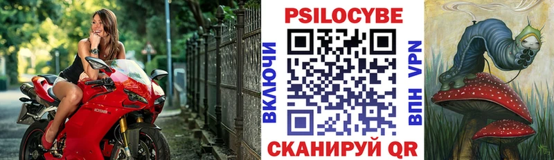 где купить наркоту  Шиханы  Псилоцибиновые грибы Psilocybine cubensis 
